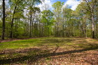John Stump Land